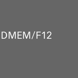 DMEM F12
