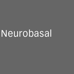 Neurobasal